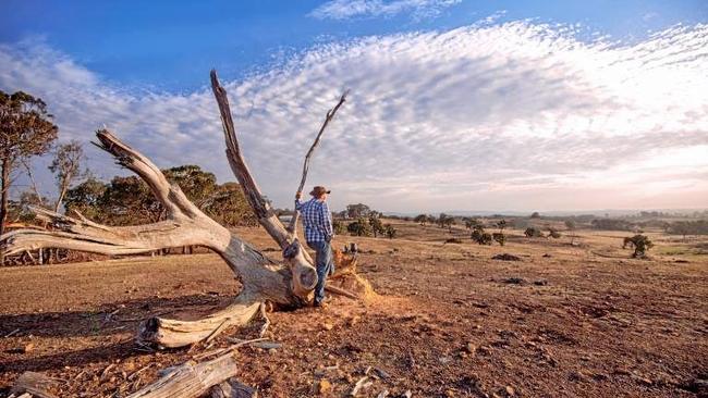 HELP IS COMING: During October Service NSW will be visiting rural and regional centres, such as Tenterfield, with resources to support them as communities struggle with one of the worst droughts on record. Picture: Contributed