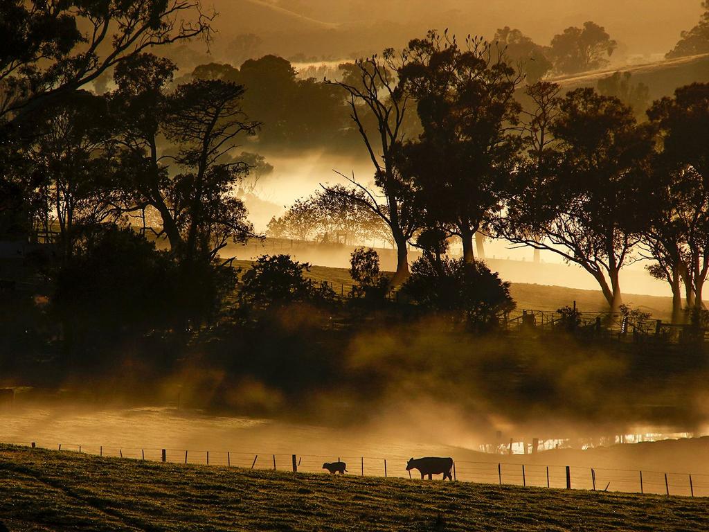 Picture: Daren Fawkes/News.com.au Photo of the Week