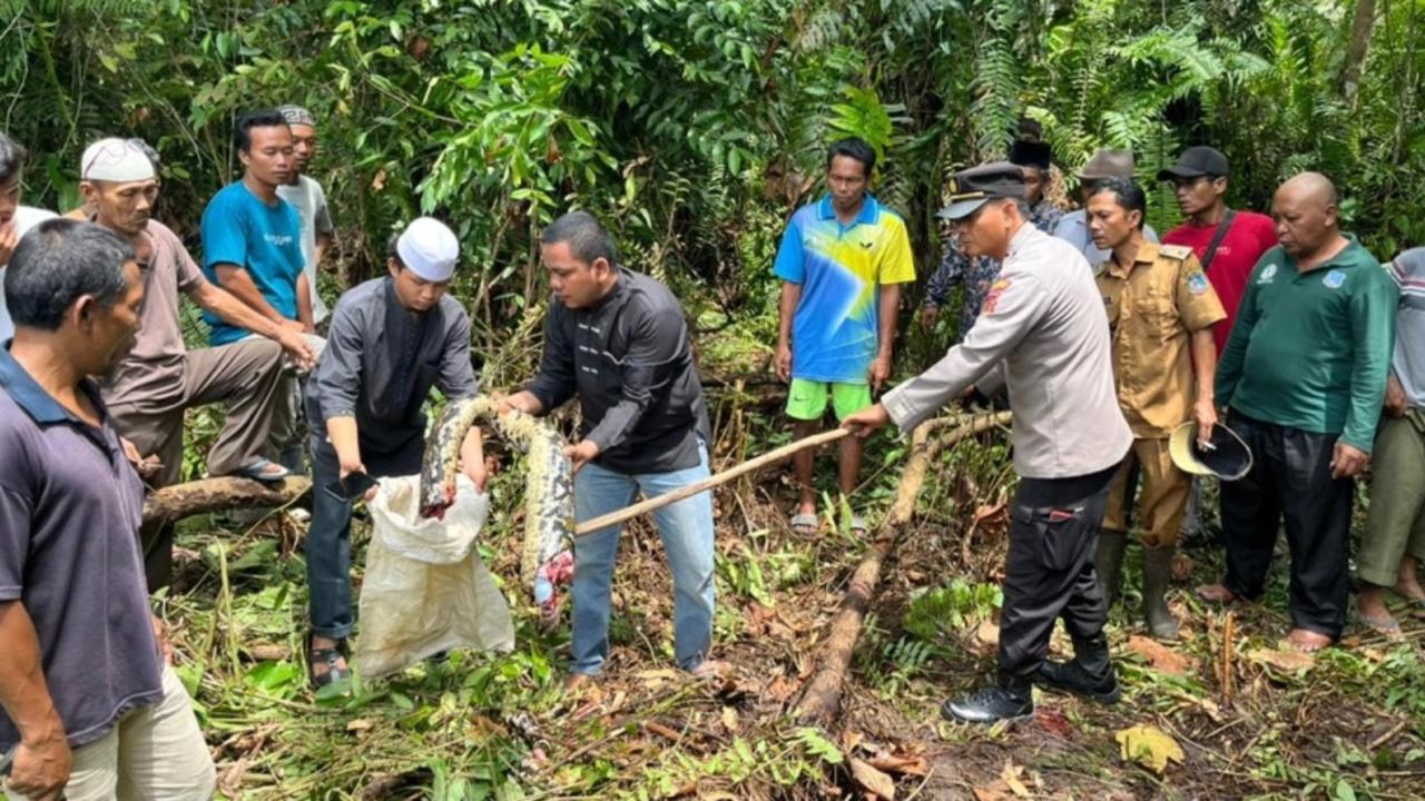 Local authorities dispose of the body. Picture: Viralpress/Australscope