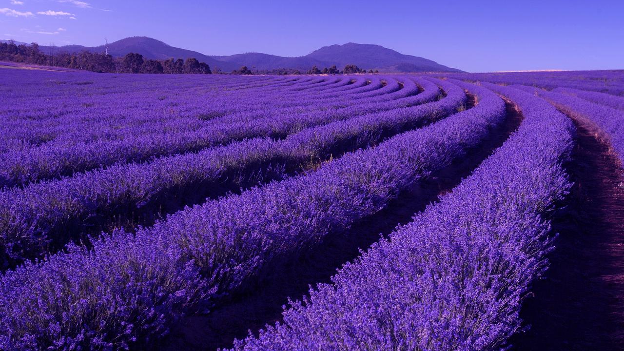 Looks like a nice spot to take your next Instagram display picture. Picture: iStock