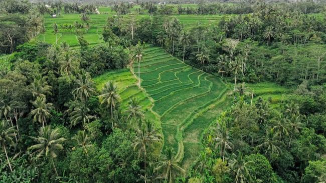 Como Shambhala Estate, Bali. Picture: Elise Hassey