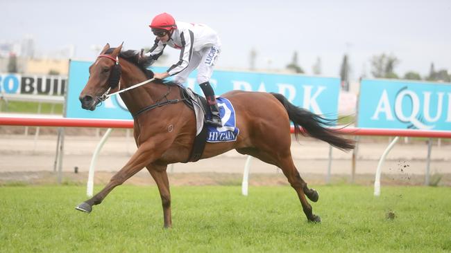 Masondale ridden by Luke Rolls. Picture: RICHARD GOSLING