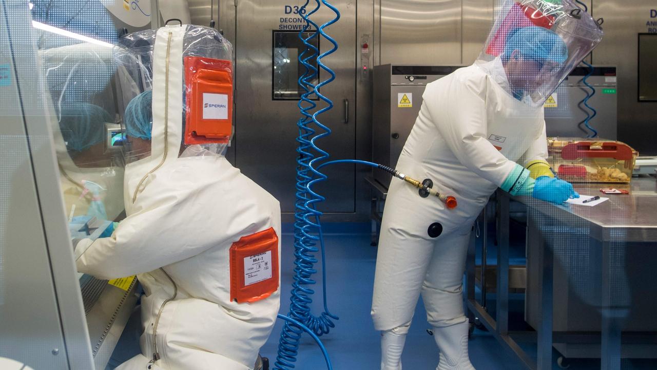 The young virologist said the virus might have from bat experiments, as rumoured happened at Wuhan; s P4 laboratory (above) Picture: Johannes Eisele/AFP