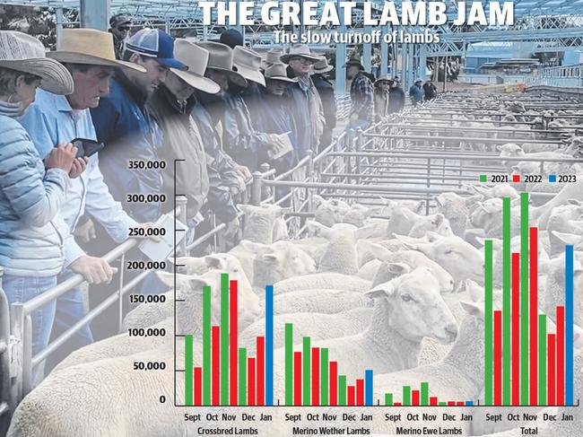 Farmers can afford to be selective over which lambs they buy. Source: AuctionsPlus