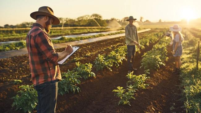 Solutions to uneven distribution of information from supermarkets to primary producers will be explored by the committee.