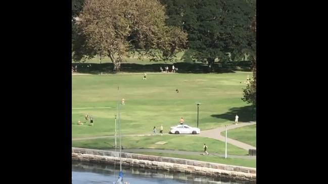 Police Cars Disperse Sunbathers in Sydney Park After Strict Lockdown Introduced