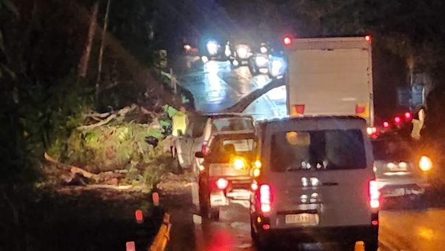 A tree fell on a truck carrying four tonnes of chicken meat in the early hours of December 27 closing the Range Road for over two hours. Picture: Facebook/Katrina Gulliver