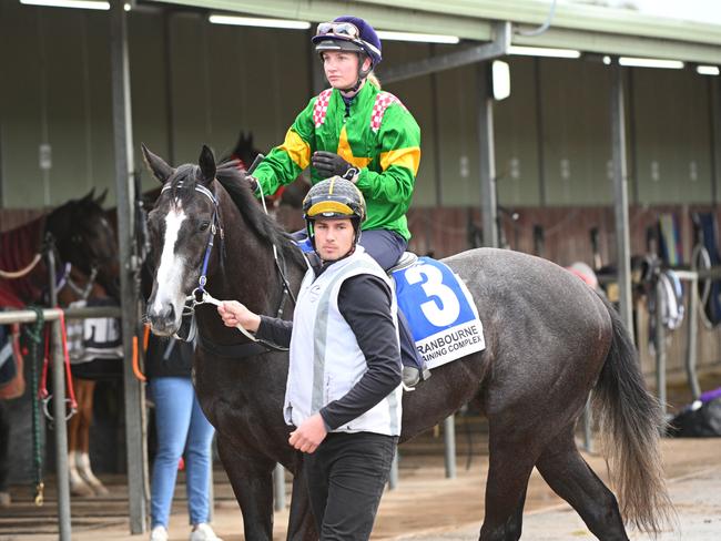 CRANBOURNE, AUSTRALIA - AUGUST 26: Jamie Kah riding Bustling during barrier trials at Cranbourne Training Centre on August 26, 2024 in Cranbourne, Australia. (Photo by Vince Caligiuri/Getty Images)