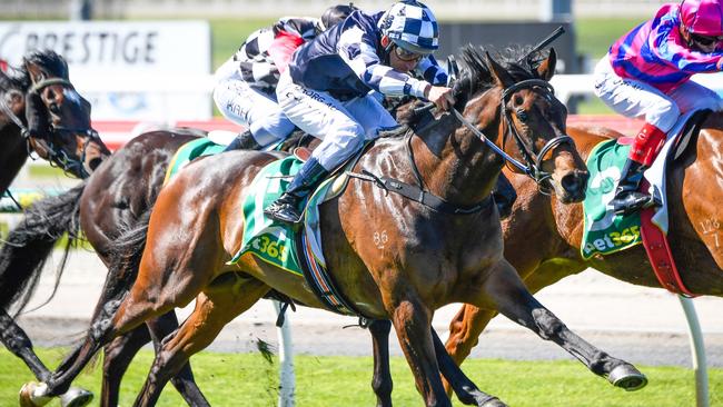 Young Werther makes his move in the 3YO Maiden Plate at Geelong.