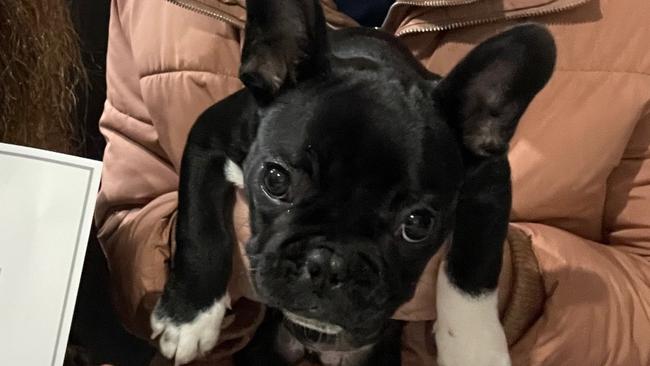 Keeghan and his partner Tahlia with Elvis after he completed puppy training. Picture supplied.