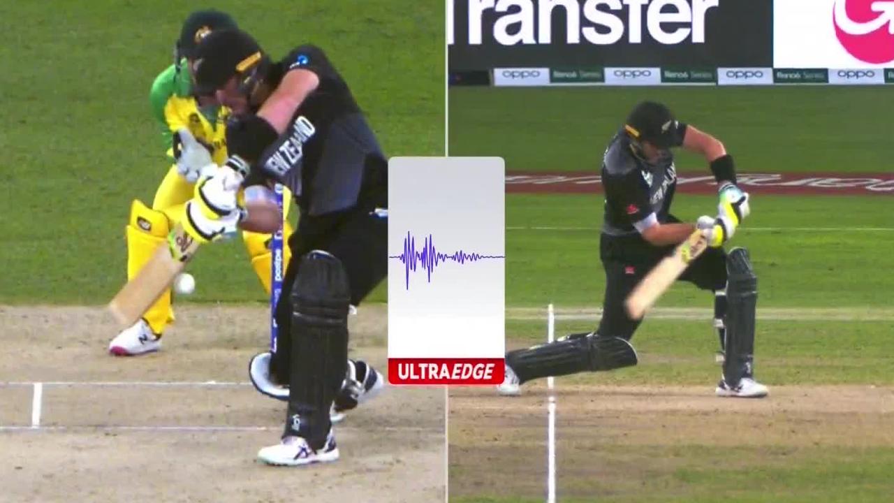 Matthew Wade spilt a tough chance off opener Martin Guptill.