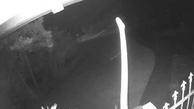 Front yard intruder caught on camera