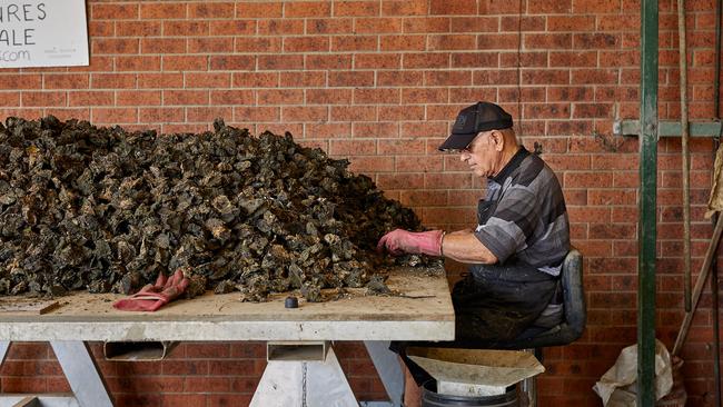 East 33 Oysters, part of Wallis Lake oyster industry