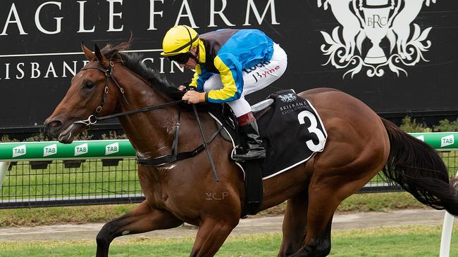 Nathan Exelby is taking on Ladbrokes with Garibaldi. Picture: AAP