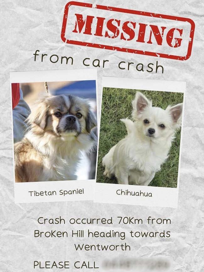 The missing dogs poster which has been circulating on Facebook.