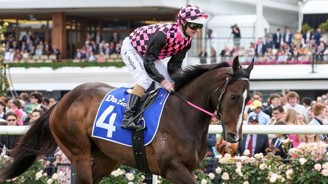 Rothfire returns to Brisbane for the first time since the winter on Saturday. Picture: George Sal/Racing Photos via Getty Images