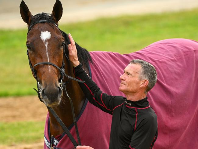 MELBOURNE, AUSTRALIA - OCTOBER 14: The Aidan O'Brien trained Jan Brueghel poses with Dean Gallagher during trackwork session at Werribee International Horse Centre on October 14, 2024 in Melbourne, Australia. Jan Brueghel is the current Melbourne Cup Favourite. (Photo by Vince Caligiuri/Getty Images)