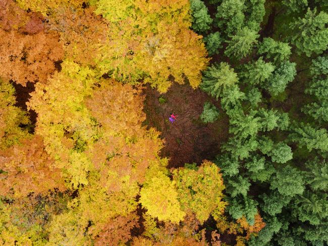 Two girls on their backs in a clearing, just between planted fir forest and natural beech forest. Picture: Anders Andersson/ Supplied
