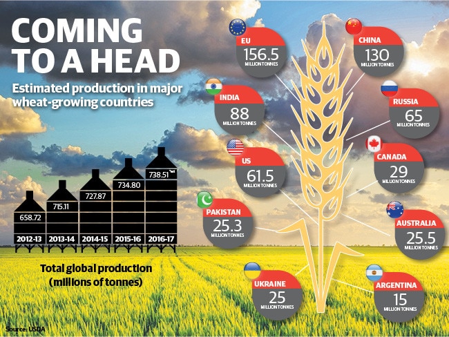 Global Wheat Production Tipped To Smash Records | The Weekly Times