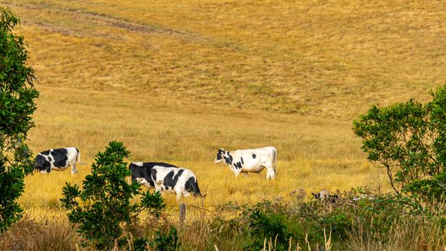 Rural vista rules: Planning bureaucrats want farmers to build post and rail fences and muted coloured sheds away from ridge lines, all to protect the view for tourists.