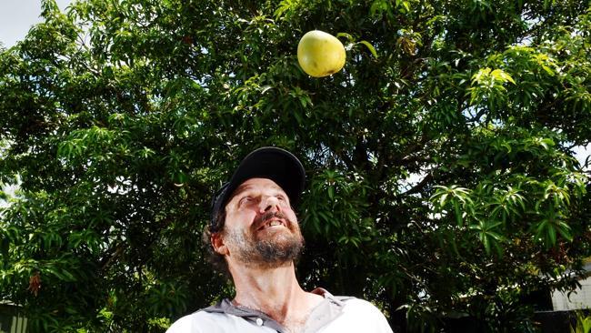 Warren Fisher had all but one mango stolen from his tree in his backyard in Moulden overnight on Friday — it can only be aliens.