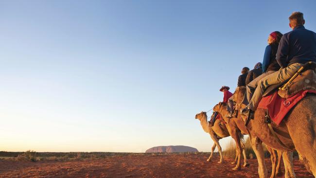 Uluru Camel Tours, Red Centre Image supplied Mandatory credit: Tourism NT