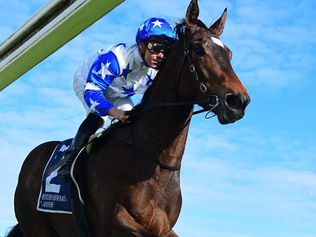 Tony Gollan's Golden Boom canters to victory on debut under jockey Ryan Maloney. Picture: Grant Peters - Trackside Photography