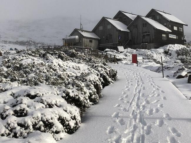 Ben Lomond National Park has reported more than 5cm of snowfall overnight, turning the resort into a winter wonderland. Photo: Instagram