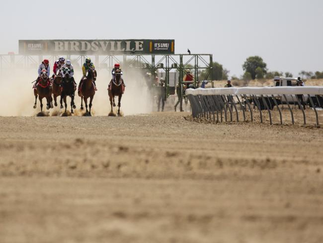 They are less likely to venture to the Outback for attractions such as the Birdsville Races.