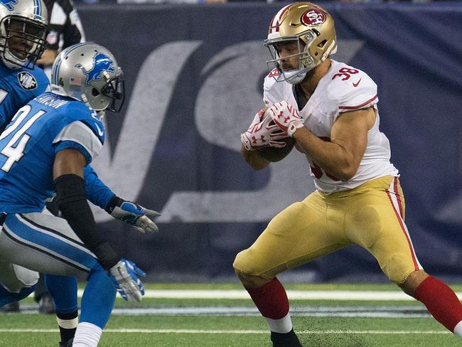 The Hayne Plane.