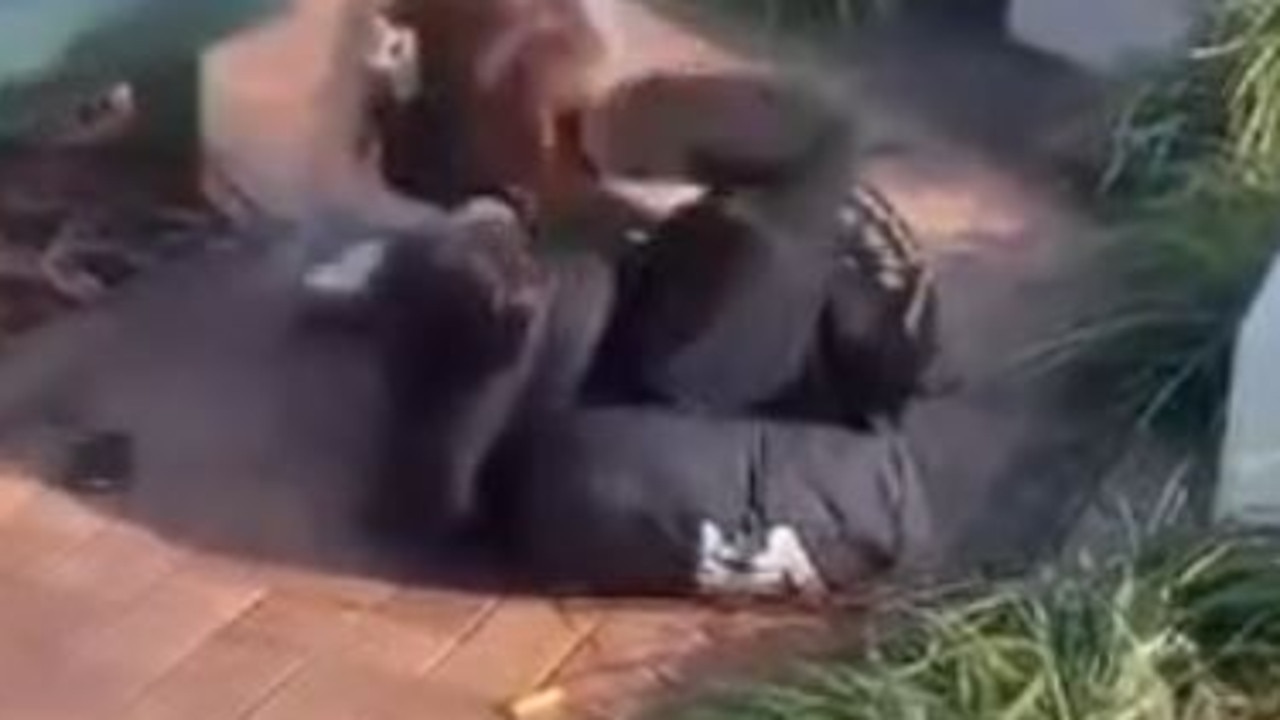 Two girls captured on film during violent scenes at Beaudesert's town library. Picture: Supplied