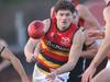 Something to Crow about: How Adelaide can make SANFL history