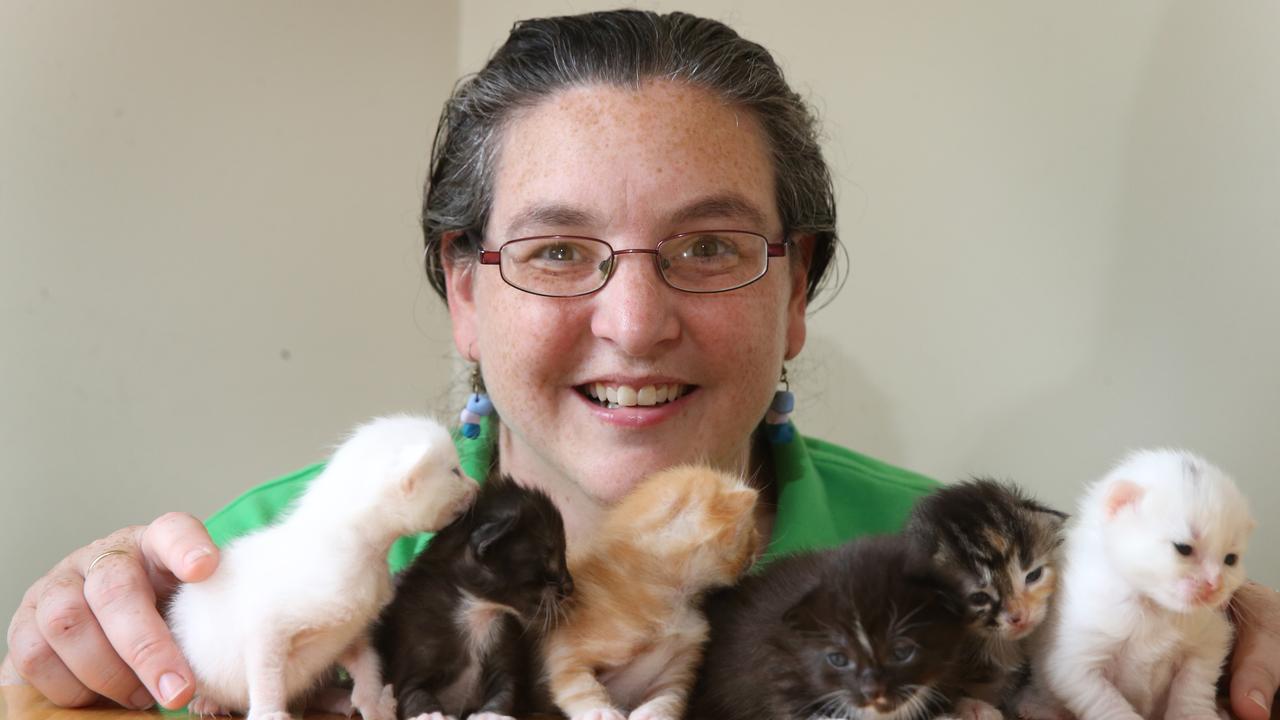 Geelong Animal Welfare society looks for new volunteers | Geelong Advertiser