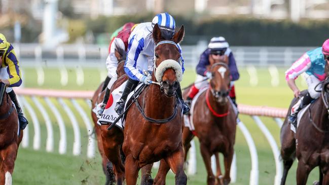 Mollynickers gave Peter Moody a second successive win in the VOBIS Gold Ingot. Picture: George Sal-Racing Photos via Getty Images