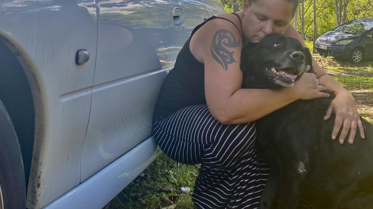 Annette Clifford said she will live out of her car as a last resort if she cannot keep all her dogs. Pictured: Annette Clifford and her black labrador Zoe.