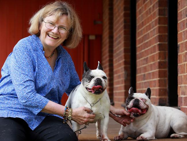 ANKC chairman Karen Hedberg with her French Bulldogs Beaches and Tosca. Picture: Toby Zerna