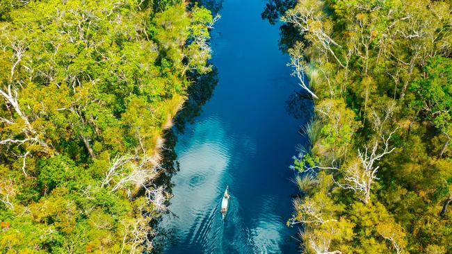 Everglades Eco Safaris will resume its eco tours to the Noosa Everglades after a five-month closure due to COVID-19.