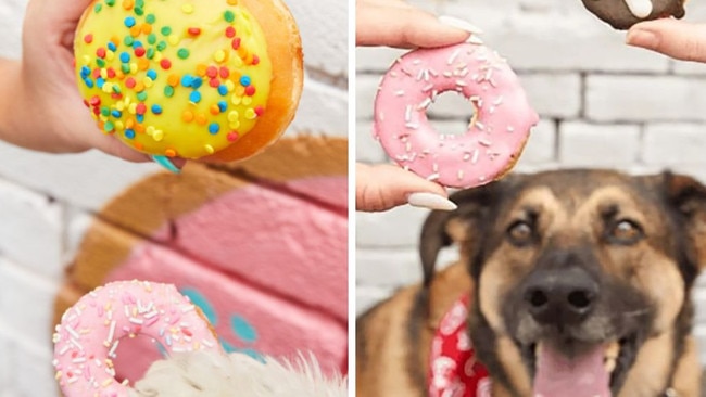 The dog-friendly biscuits are strictly limited edition. Picture: Supplied.