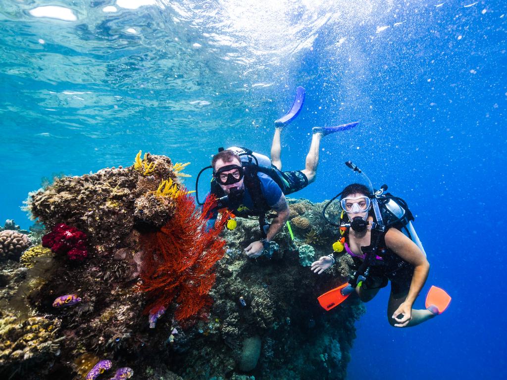 Great Barrier Reef Tours: For Every Budget | Escape.com.au