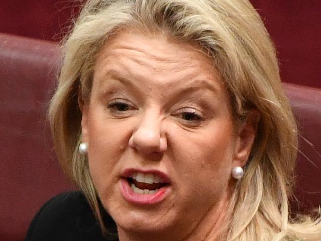 Minister for Agriculture Bridget McKenzie during debate on the Medevac Bill in the Senate chamber at Parliament House in Canberra, Wednesday, December 4, 2019. (AAP Image/Mick Tsikas) NO ARCHIVING