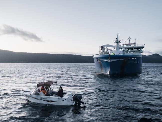 Protesters prevent a large Tassal ship from releasing salmon into Long Bay on Tuesday morning.