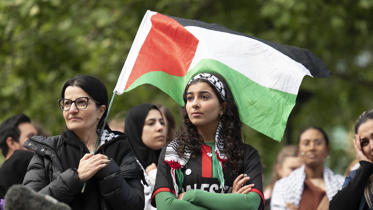 Pro-Palestine rallies held in Canberra, Brisbane and Perth: MP Monique ...