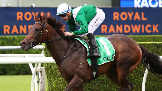 Manaal finished third in her heat at Royal Randwick trials. Picture: Jeremy Ng/Getty Images