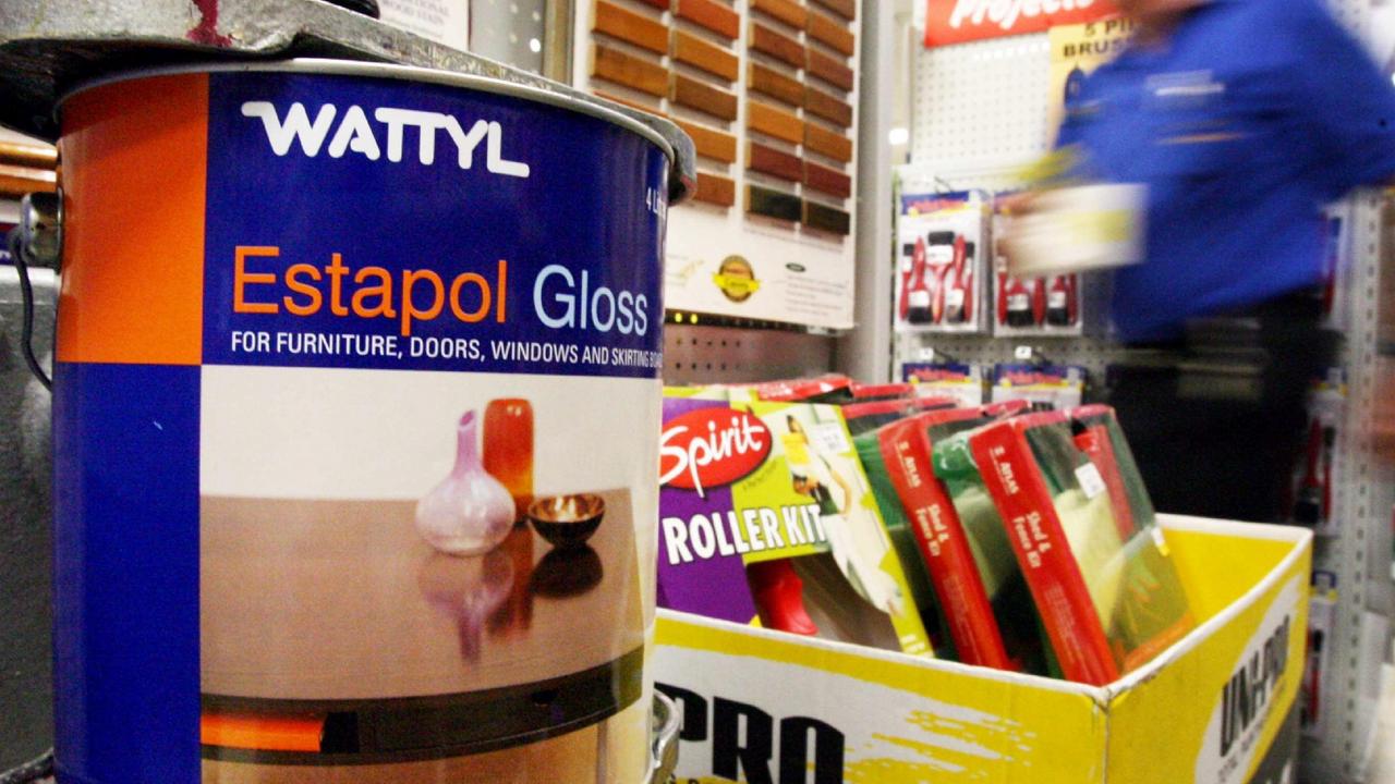 13/02/2006 PIRATE: 13/02/2006. Wattyl products. paintmaker. paint