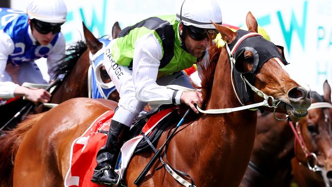 Ben Claridge keen to join Jim on Adelaide Cup Journey at Morphettville ...