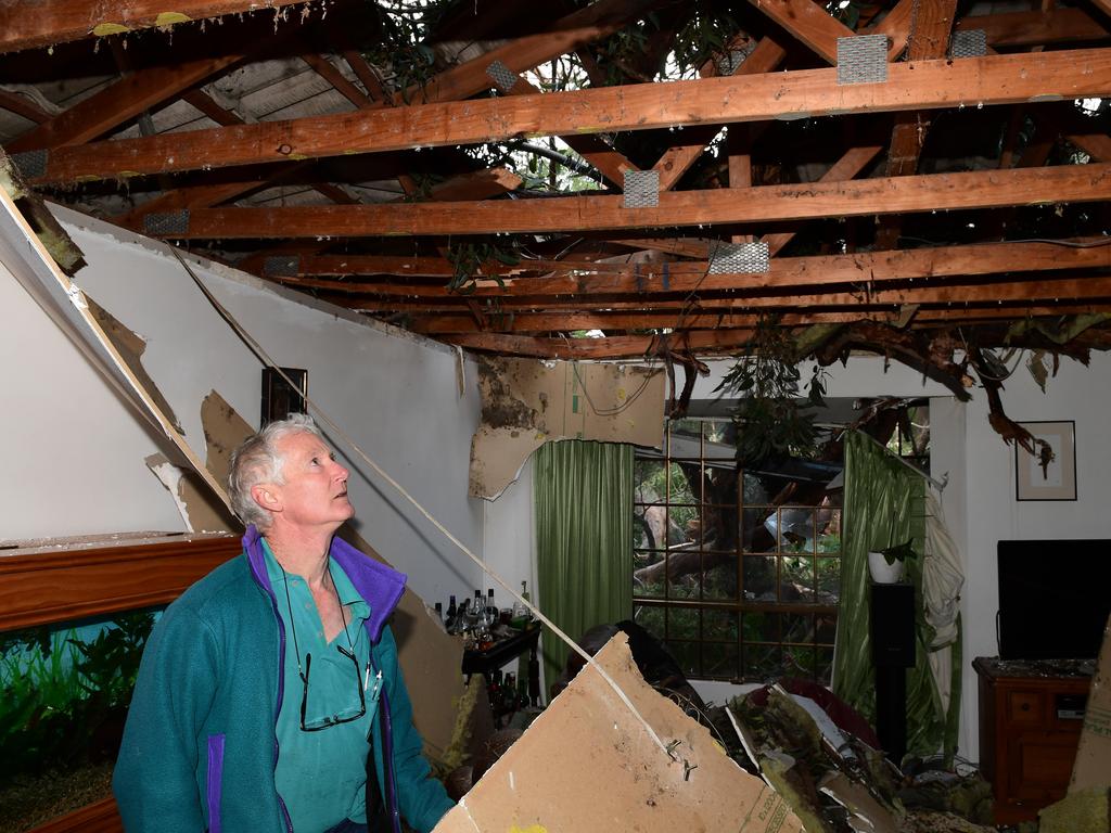 Simon Playfair inspects the damage at brother Roger’s home Holborn Hill Rd Aldgate after trees fell on it. Picture CAMPBELL BRODIE.