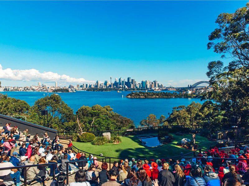 The breeding program has been underway at Taronga Zoo for two years now. Picture: NSW Government