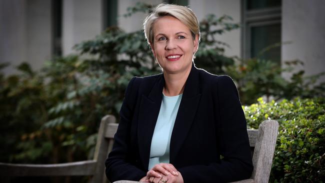 Tanya Plibersek. Picture: Ray Strange