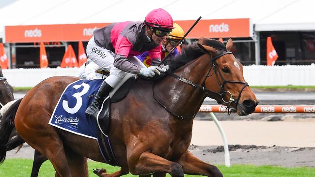Sirileo Miss was one of five horses forced to serve a 12-month disqualification after a positive swab to breast cancer drug Formestane. Picture: Reg Ryan/Racing Photos via Getty Images