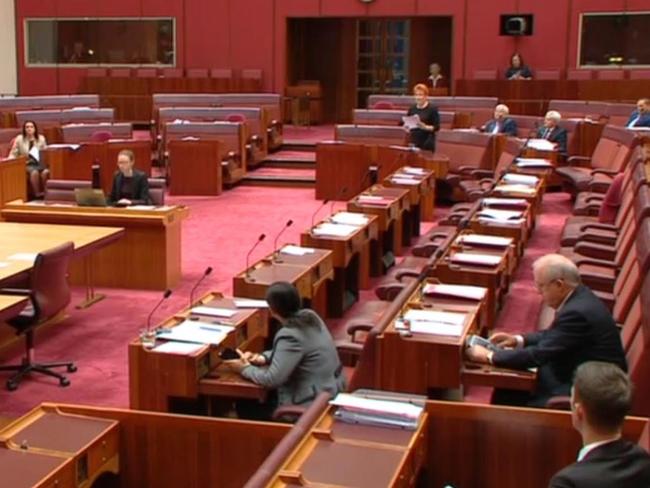 Senator Pauline Hanson makes her speech to Parliament about banning the burqa. Picture: Supplied